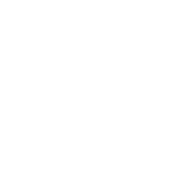 Zainab Abadi logo