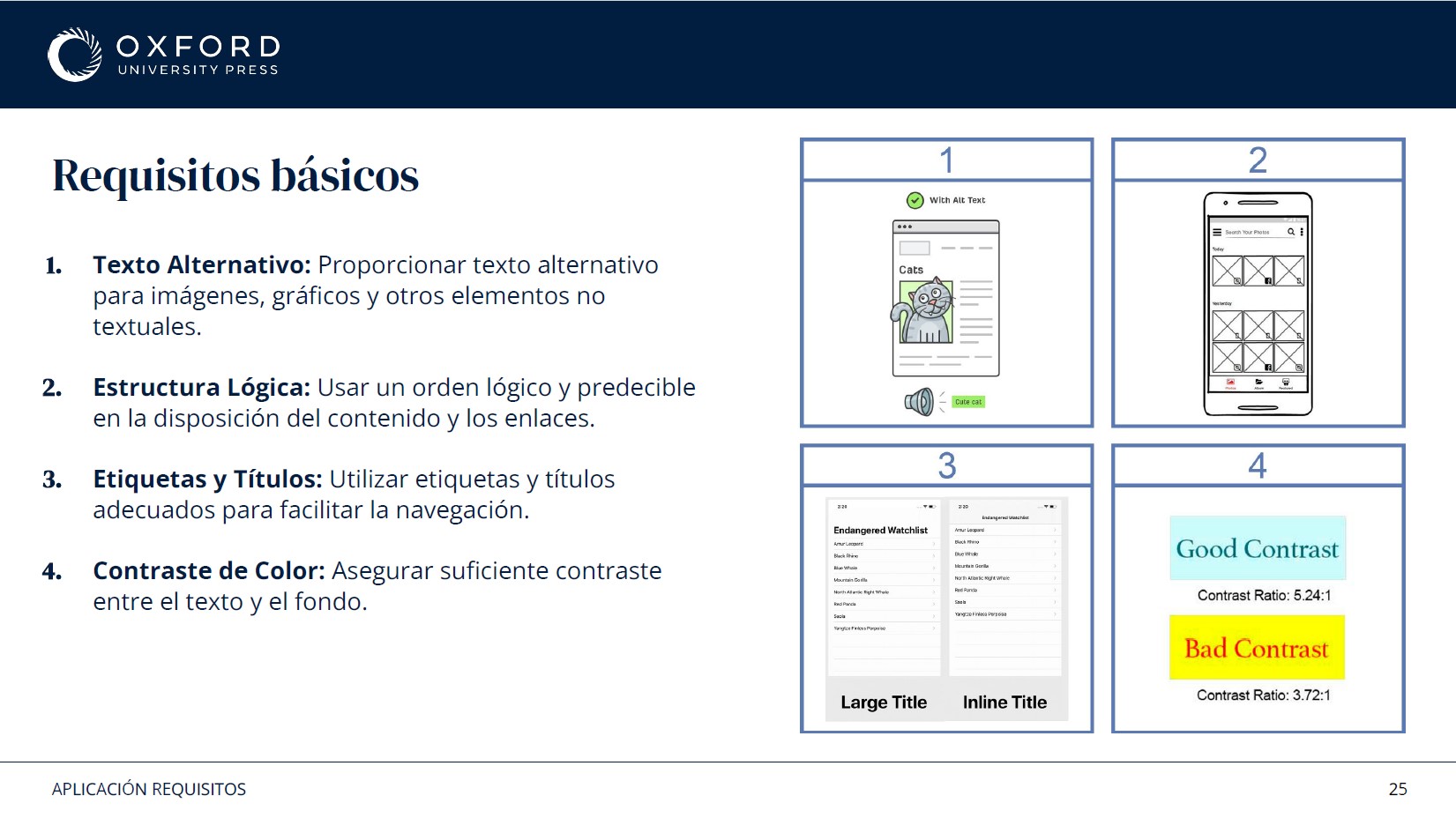 Basic requirements slide covering alternative text, logical structure, labels and titles, and colour contrast with a good and bad contrast example