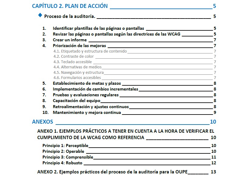 Contents of the action plan chapter, covering the audit process, prioritised improvements, goals and deadlines, testing, training and maintenance